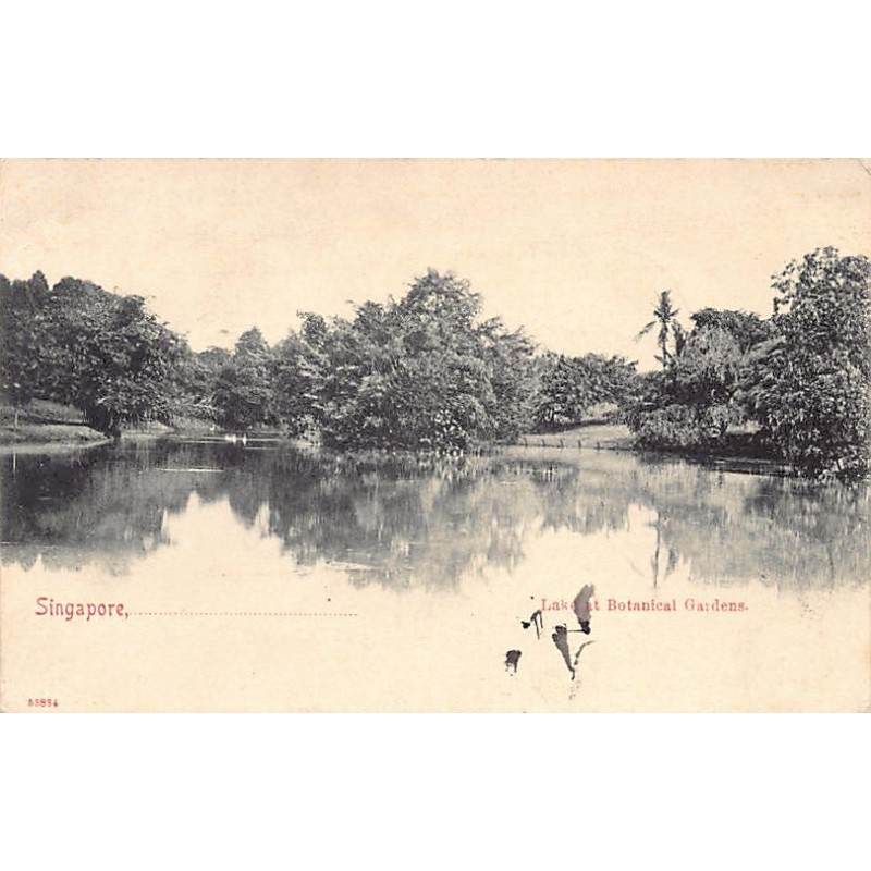 Rare collectable postcards of Singapore. Vintage Postcards of Singapore