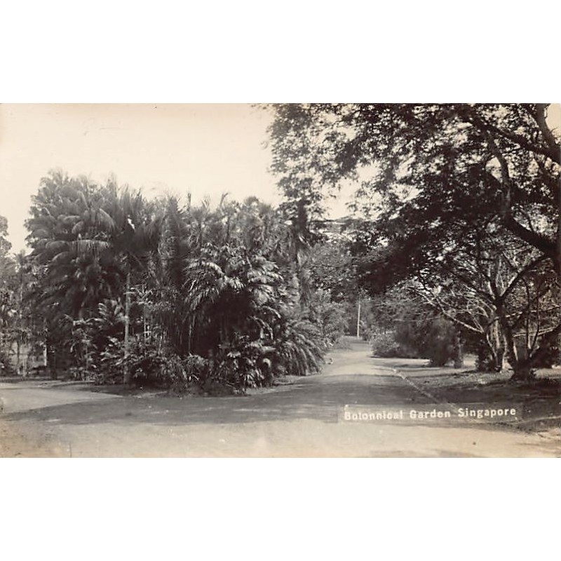 Rare collectable postcards of Singapore. Vintage Postcards of Singapore