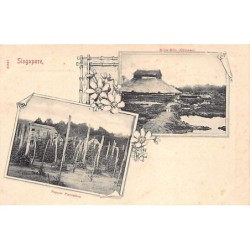 Rare collectable postcards of Singapore. Vintage Postcards of Singapore