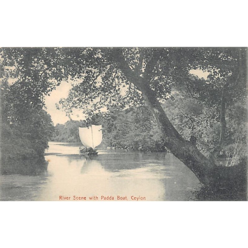 Rare collectable postcards of Sri Lanka (Ceylon). Vintage Postcards of Sri Lanka (Ceylon)