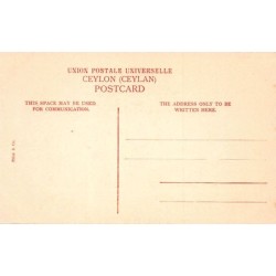 Rare collectable postcards of Sri Lanka (Ceylon). Vintage Postcards of Sri Lanka (Ceylon)