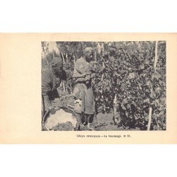 Rare collectable postcards of Uzbekistan. Vintage Postcards of Uzbekistan