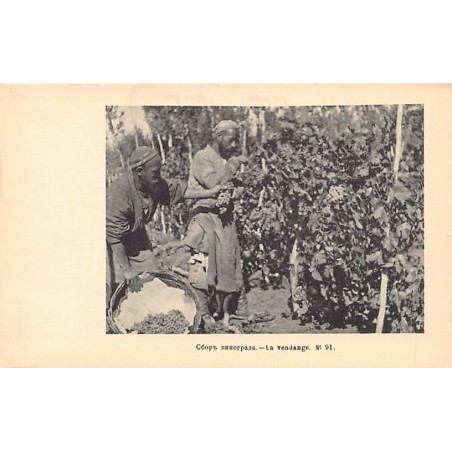 Rare collectable postcards of Uzbekistan. Vintage Postcards of Uzbekistan