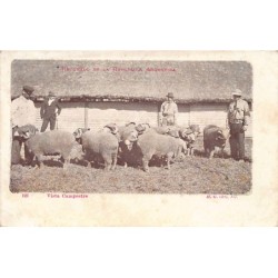 Rare collectable postcards of Argentina. Vintage Postcards of Argentina