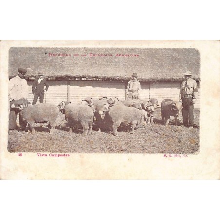 Rare collectable postcards of Argentina. Vintage Postcards of Argentina