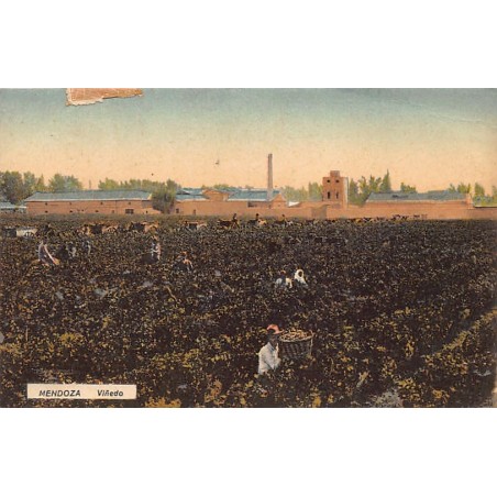 Rare collectable postcards of Argentina. Vintage Postcards of Argentina