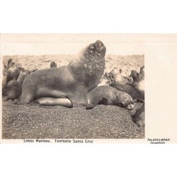 Rare collectable postcards of Argentina. Vintage Postcards of Argentina