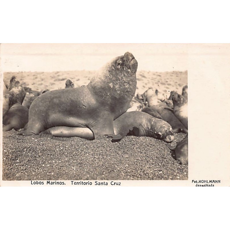 Rare collectable postcards of Argentina. Vintage Postcards of Argentina