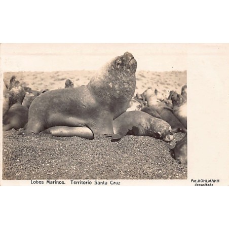 Rare collectable postcards of Argentina. Vintage Postcards of Argentina