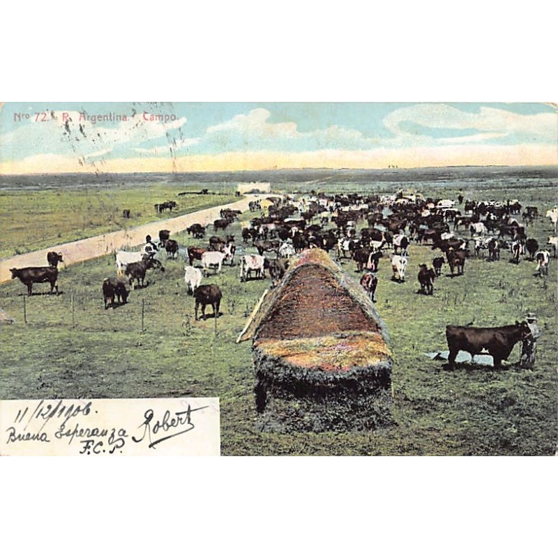 Rare collectable postcards of Argentina. Vintage Postcards of Argentina