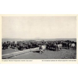 Rare collectable postcards of Argentina. Vintage Postcards of Argentina