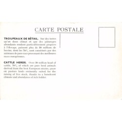 Rare collectable postcards of Argentina. Vintage Postcards of Argentina