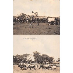 Rare collectable postcards of Argentina. Vintage Postcards of Argentina