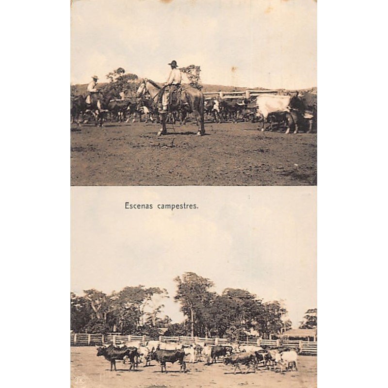 Rare collectable postcards of Argentina. Vintage Postcards of Argentina