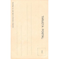 Rare collectable postcards of Argentina. Vintage Postcards of Argentina