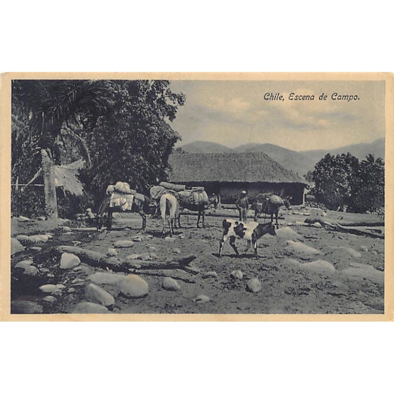 Rare collectable postcards of Chile. Vintage Postcards of Chile