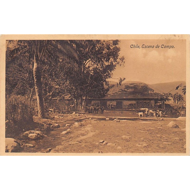 Rare collectable postcards of Chile. Vintage Postcards of Chile