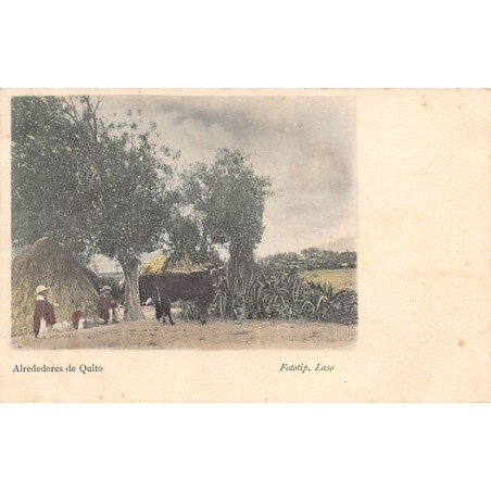 Rare collectable postcards of Ecuador. Vintage Postcards of Ecuador