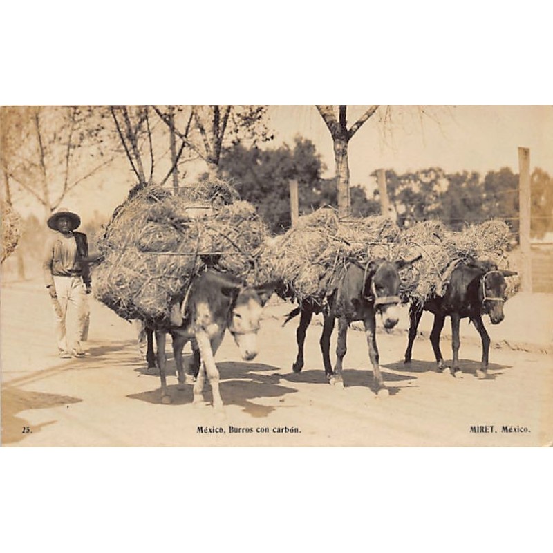 Rare collectable postcards of Mexico. Vintage Postcards of Mexico