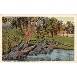 Rare collectable postcards of Panama. Vintage Postcards of Panama