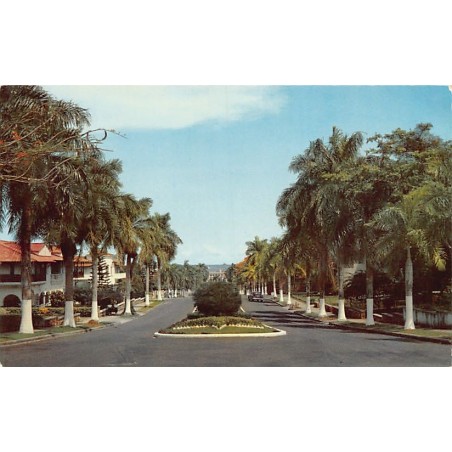 Rare collectable postcards of Panama. Vintage Postcards of Panama