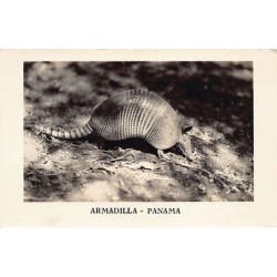 Rare collectable postcards of Panama. Vintage Postcards of Panama