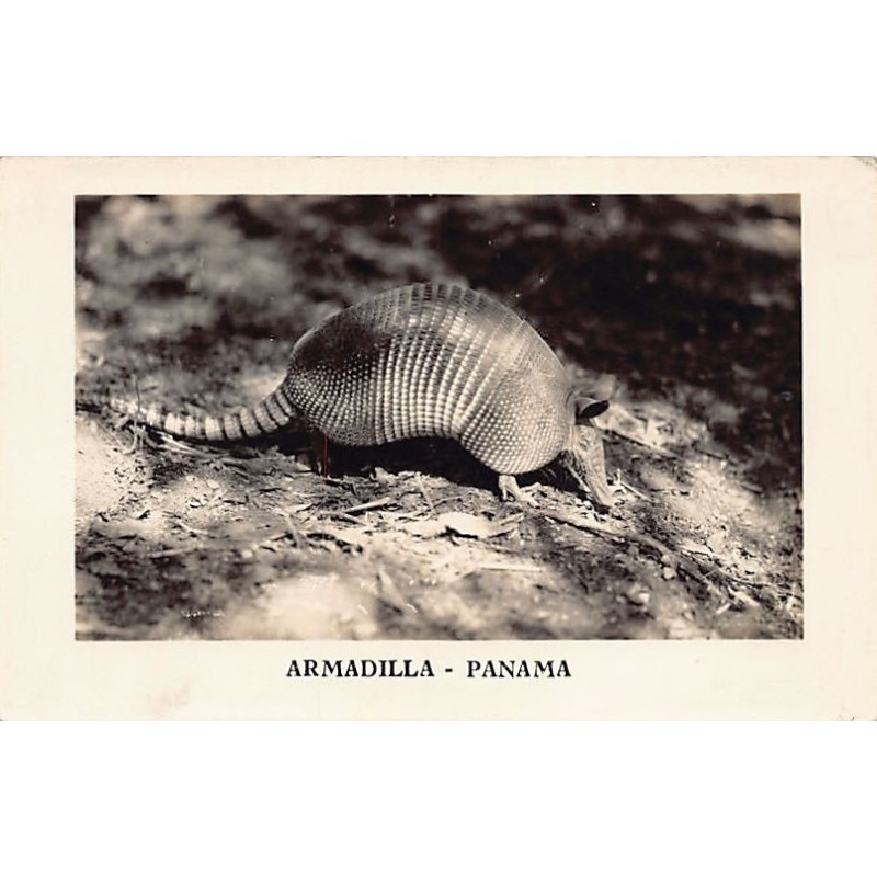 Rare collectable postcards of Panama. Vintage Postcards of Panama