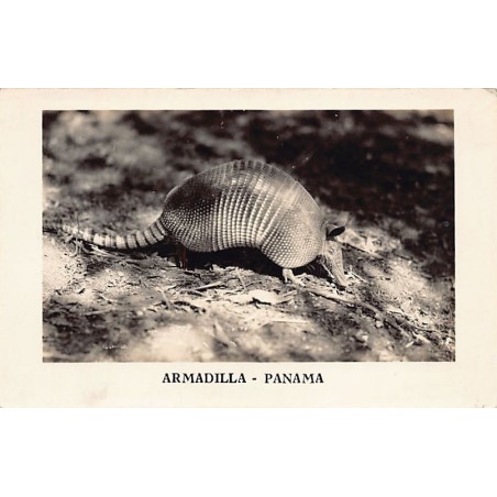 Rare collectable postcards of Panama. Vintage Postcards of Panama