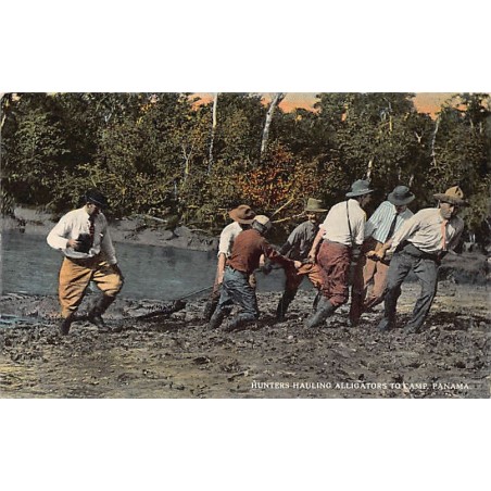 Rare collectable postcards of Panama. Vintage Postcards of Panama