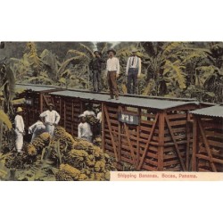 Rare collectable postcards of Panama. Vintage Postcards of Panama