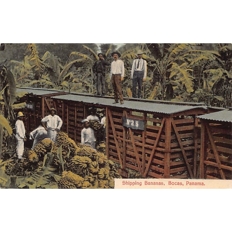 Rare collectable postcards of Panama. Vintage Postcards of Panama