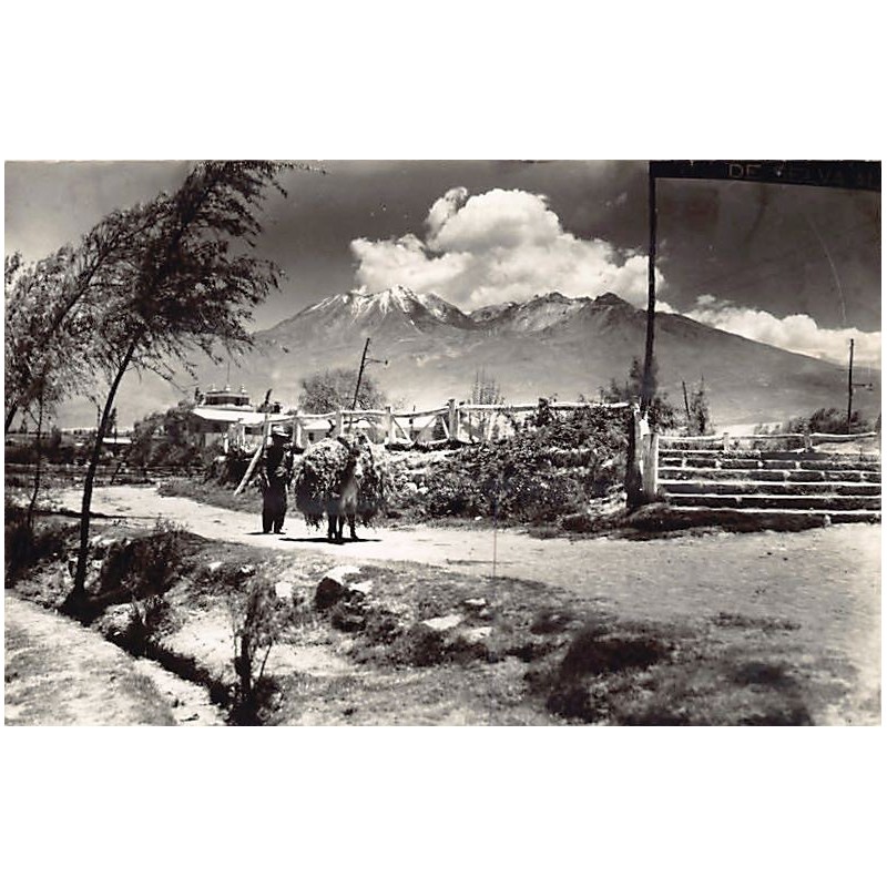 Rare collectable postcards of Peru. Vintage Postcards of Peru