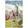 Rare collectable postcards of Peru. Vintage Postcards of Peru