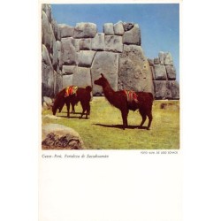 Rare collectable postcards of Peru. Vintage Postcards of Peru