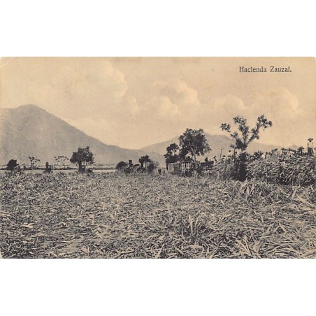 Rare collectable postcards of Peru. Vintage Postcards of Peru