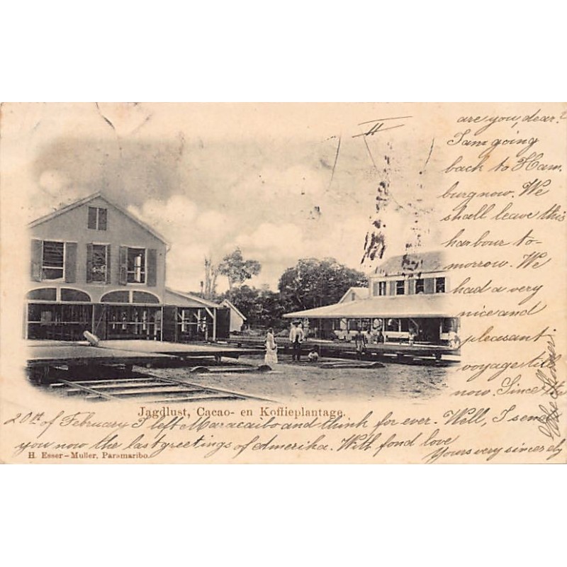 Rare collectable postcards of Surinam. Vintage Postcards of Surinam