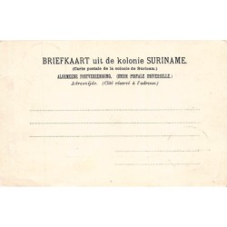 Rare collectable postcards of Surinam. Vintage Postcards of Surinam