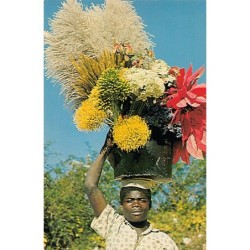 Rare collectable postcards of Haiti. Vintage Postcards of Haiti
