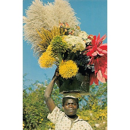 Rare collectable postcards of Haiti. Vintage Postcards of Haiti