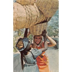 Rare collectable postcards of Haiti. Vintage Postcards of Haiti