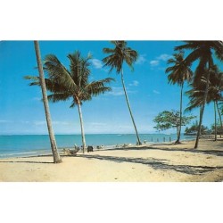 Rare collectable postcards of Puerto Rico. Vintage Postcards of Puerto Rico