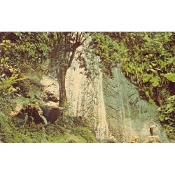 Rare collectable postcards of Puerto Rico. Vintage Postcards of Puerto Rico