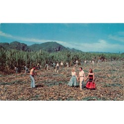 Rare collectable postcards of Puerto Rico. Vintage Postcards of Puerto Rico