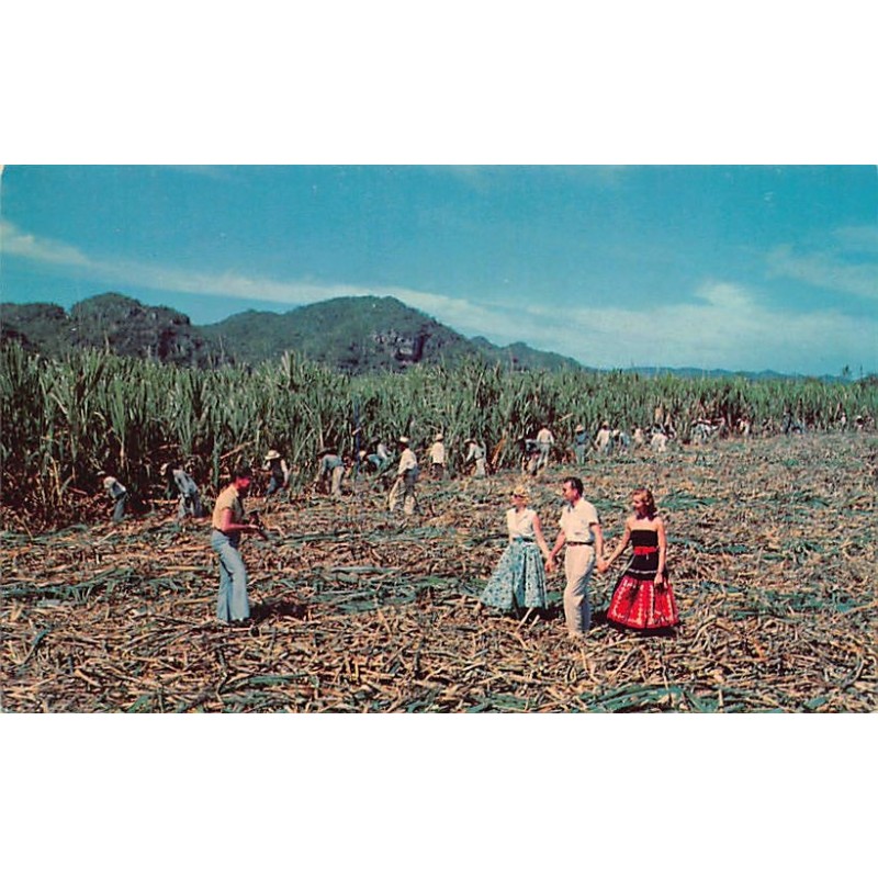 Rare collectable postcards of Puerto Rico. Vintage Postcards of Puerto Rico