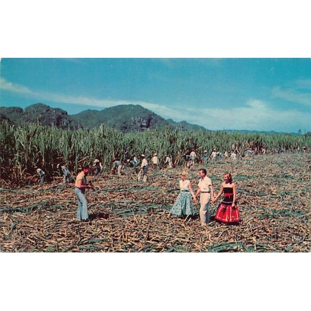 Rare collectable postcards of Puerto Rico. Vintage Postcards of Puerto Rico