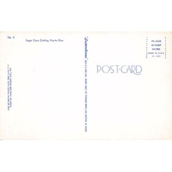 Rare collectable postcards of Puerto Rico. Vintage Postcards of Puerto Rico