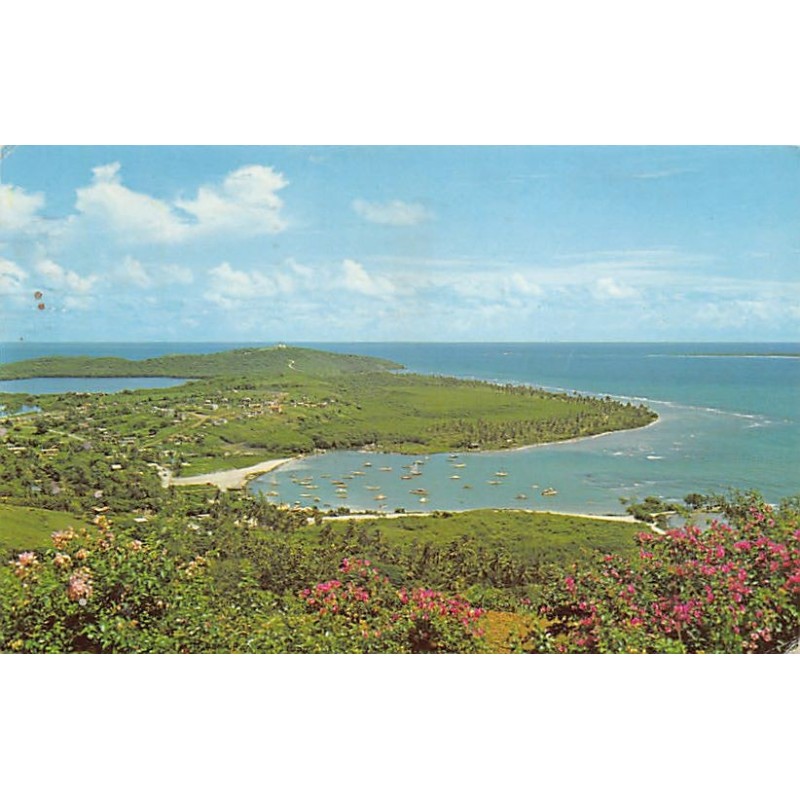 Rare collectable postcards of Puerto Rico. Vintage Postcards of Puerto Rico