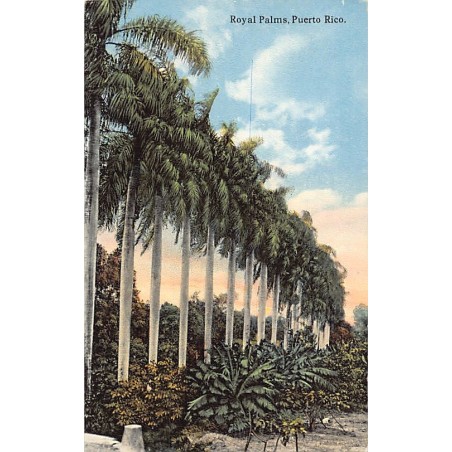 Rare collectable postcards of Puerto Rico. Vintage Postcards of Puerto Rico