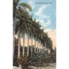 Rare collectable postcards of Puerto Rico. Vintage Postcards of Puerto Rico