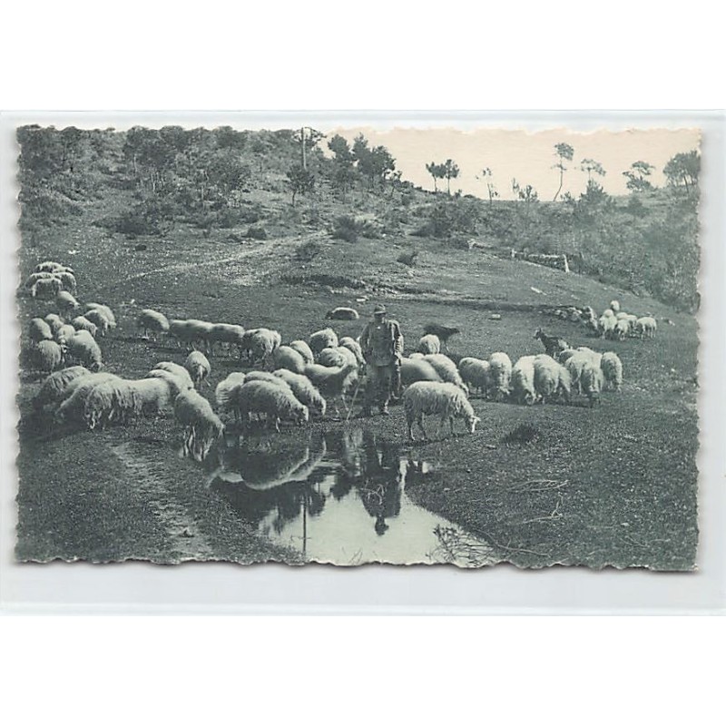 Rare collectable postcards of Monaco. Vintage Postcards of Monaco